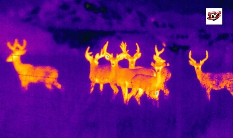 Samsun’da Termal Dron Destekli Av Denetimi: 13 Kişiye Yasa Dışı Avcılıktan İşlem